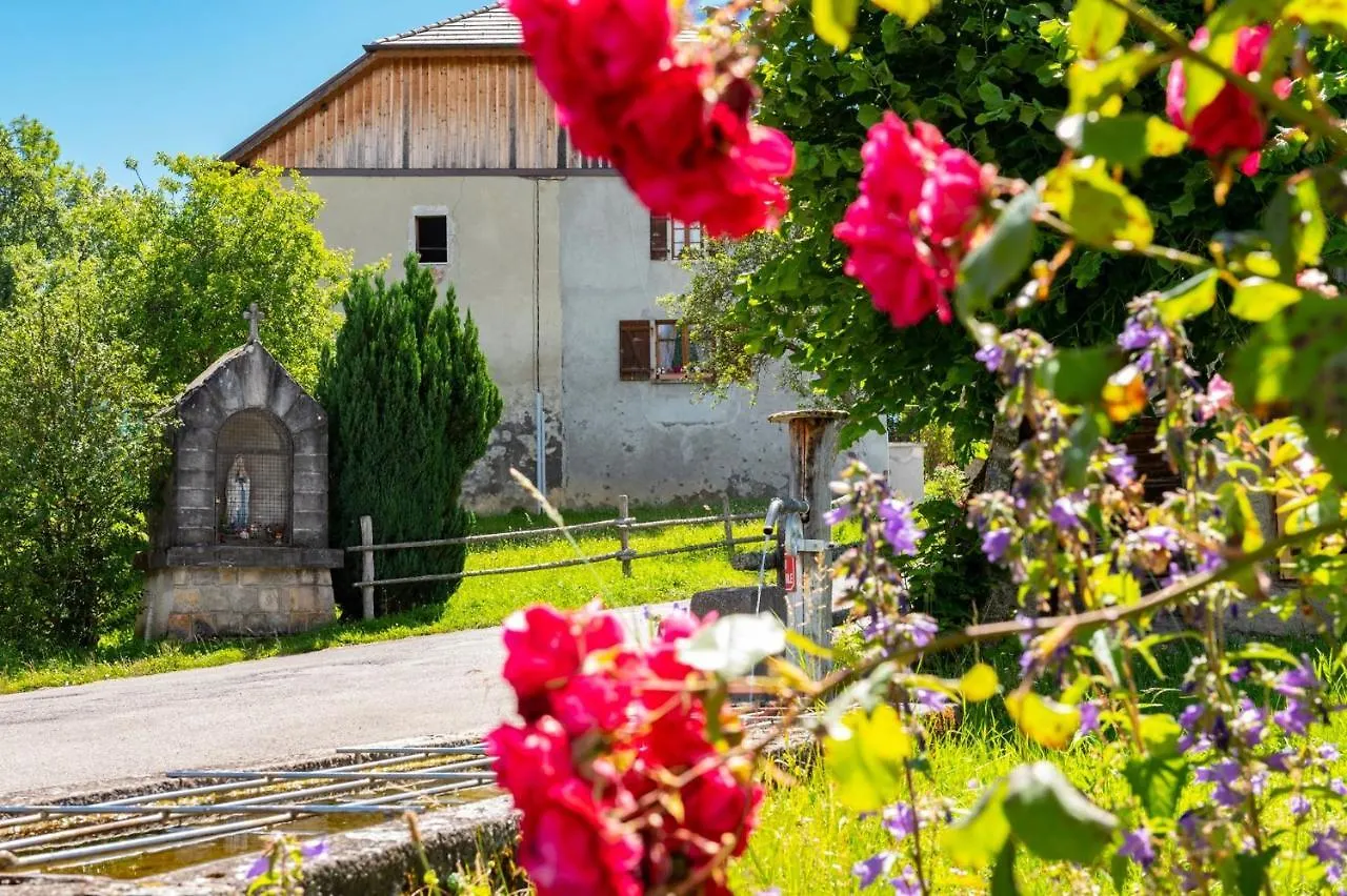 Votre studio balnéo bien-être à la montagne Thollon-les-Mémises Appartement