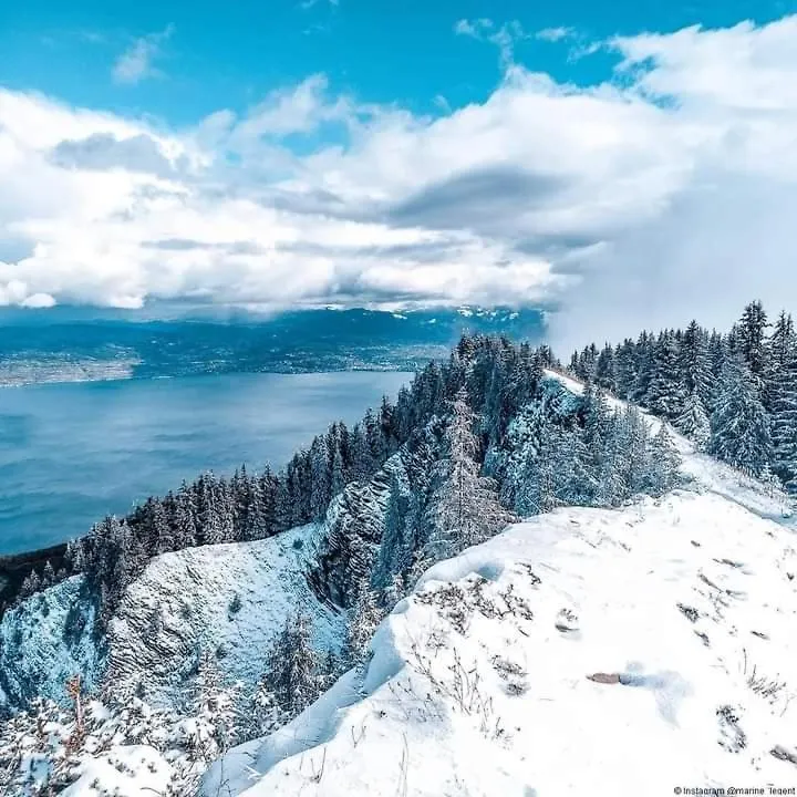 Appartement Votre studio balnéo bien-être à la montagne Thollon-les-Mémises